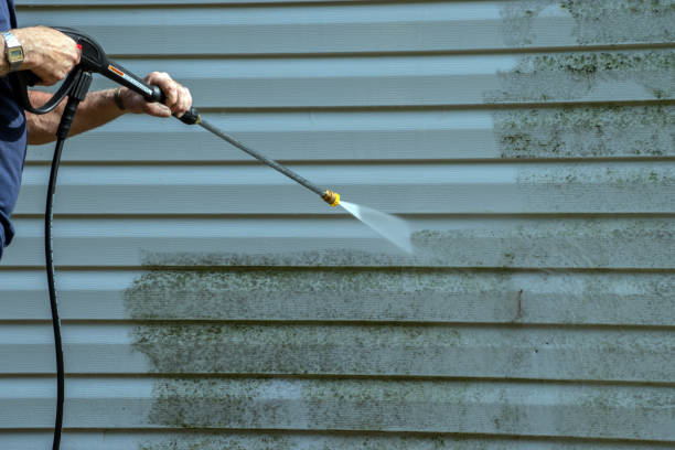 Animal Enclosure Cleaning in Estill, SC
