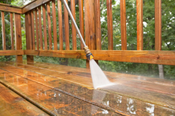 Trusted Estill, SC Pressure Washing Services Experts